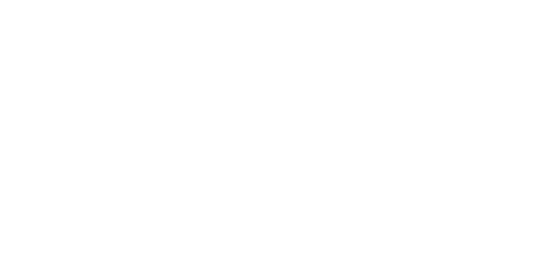 LINC Personality Profile mit BEEZ Unternehmerberatung