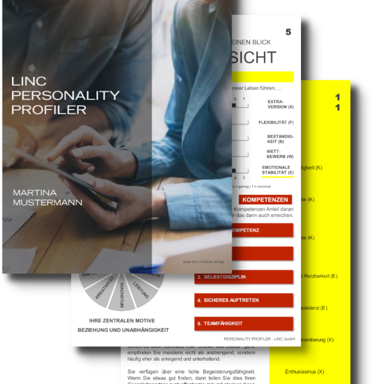 LINC Personality Profile mit BEEZ Unternehmerberatung